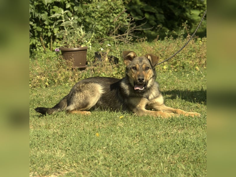 Amara ein zartes Wesen