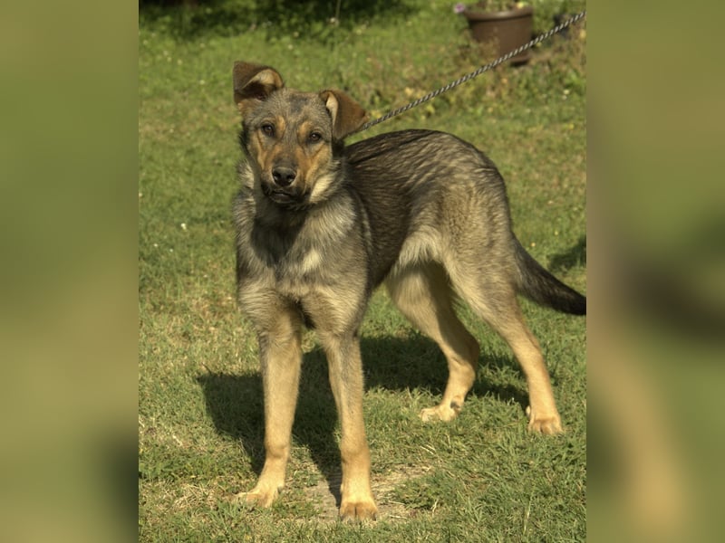 Amara ein zartes Wesen