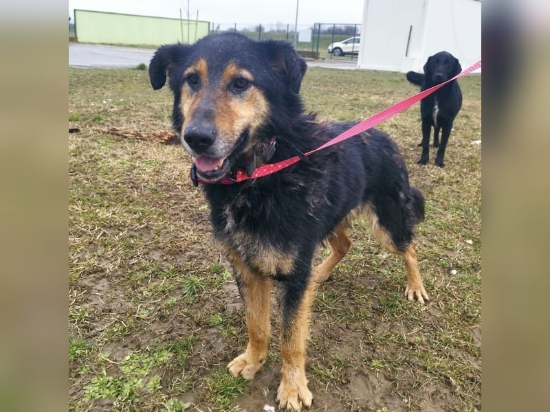 Otto schon eine Ewigkeit hinter Gittern