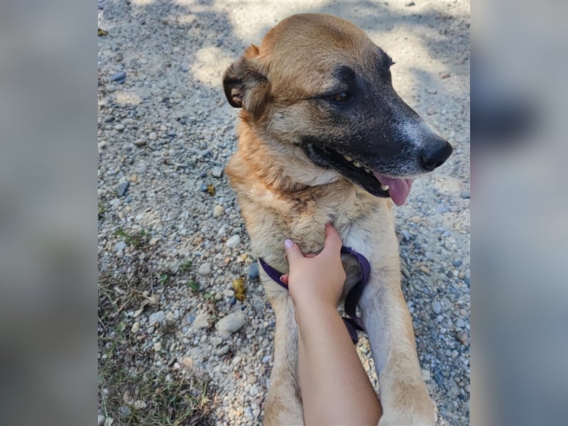 Esther eine wundervolle Seele