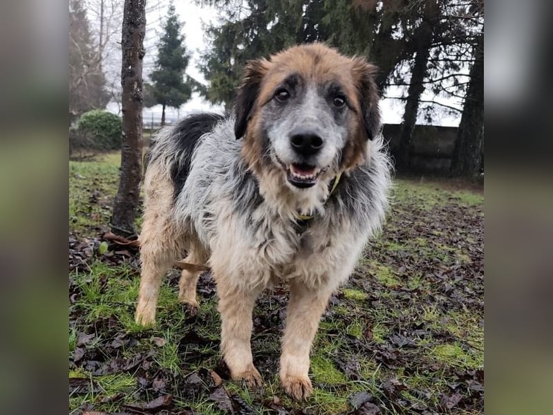 Olga - Augen sind der Spiegel ihrer Seele