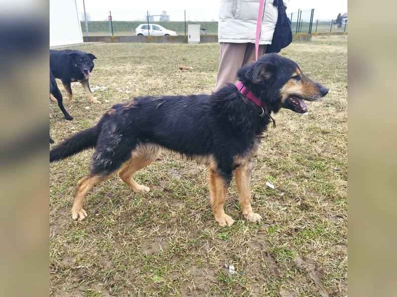 Otto schon eine Ewigkeit hinter Gittern