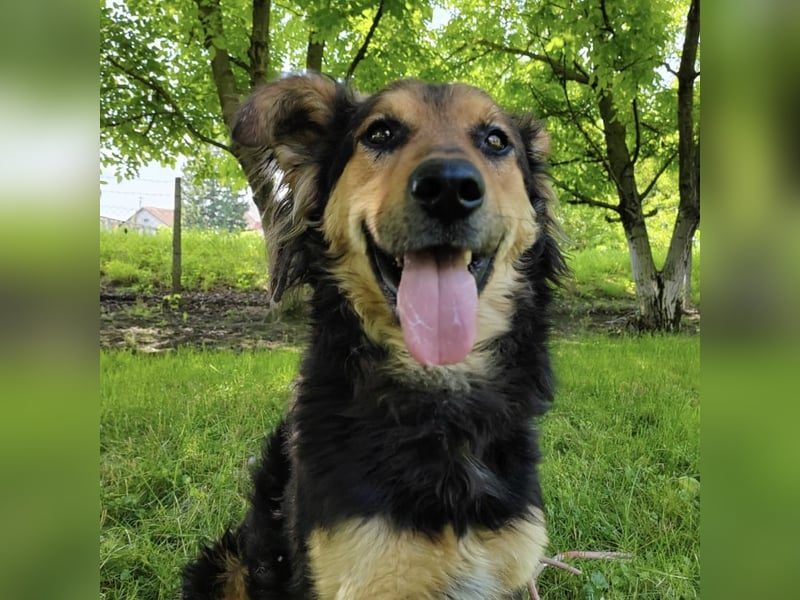 Kovu braucht viel Liebe