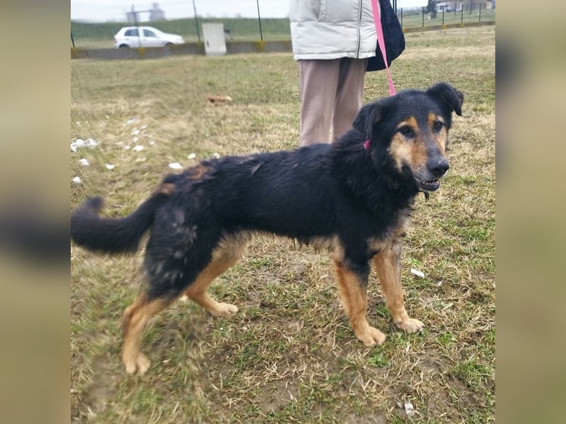 Otto schon eine Ewigkeit hinter Gittern