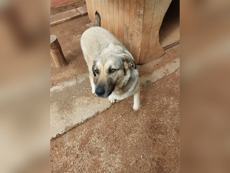 Selin möchte Prinzessin sein