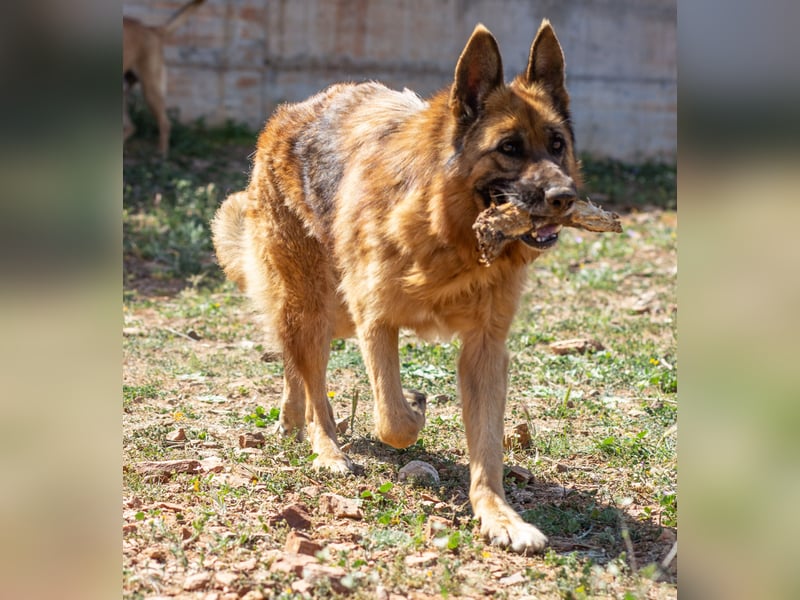 Herzensdame BLANCA wartet auf DICH