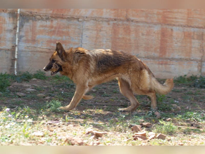 Herzensdamen Blanca wartet auf dich