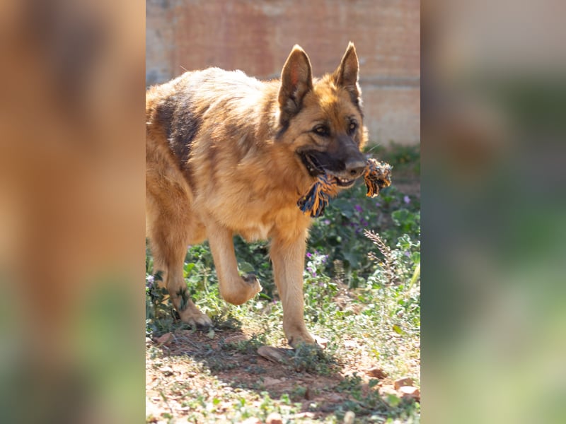 Herzensdamen Blanca wartet auf dich