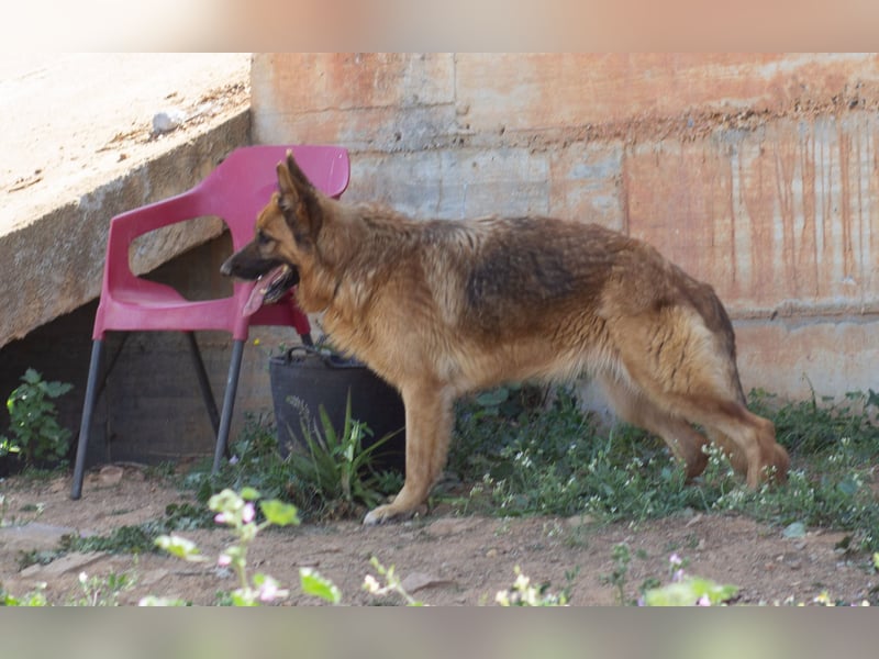 Herzensdamen Blanca wartet auf dich
