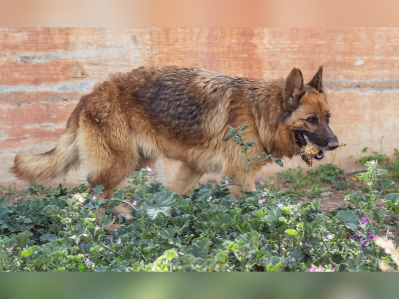 Herzensdamen Blanca wartet auf dich