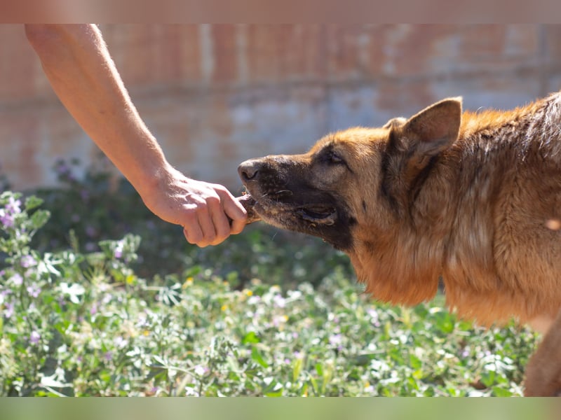 Herzensdamen Blanca wartet auf dich