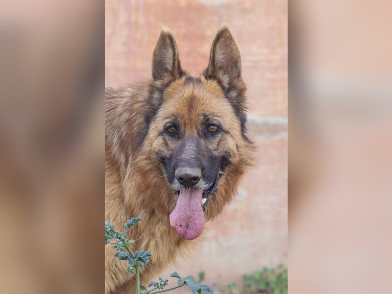 Herzensdamen Blanca wartet auf dich
