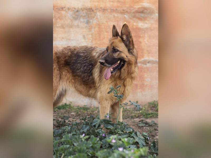 Herzensdamen Blanca wartet auf dich