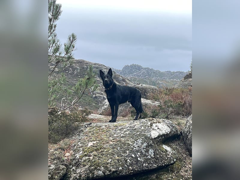 Irie - Vermittlungshilfe - sucht die Nadel im Heuhaufen