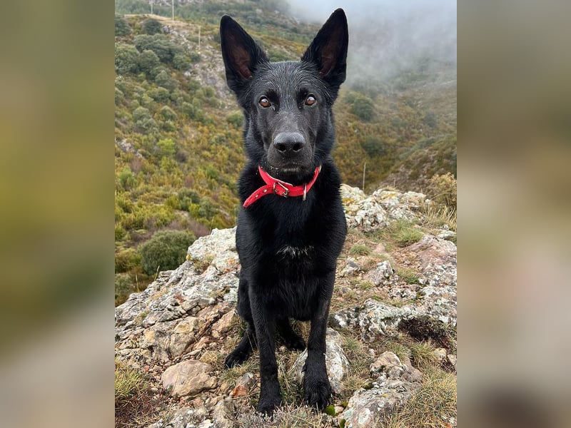 Irie - Vermittlungshilfe - sucht die Nadel im Heuhaufen