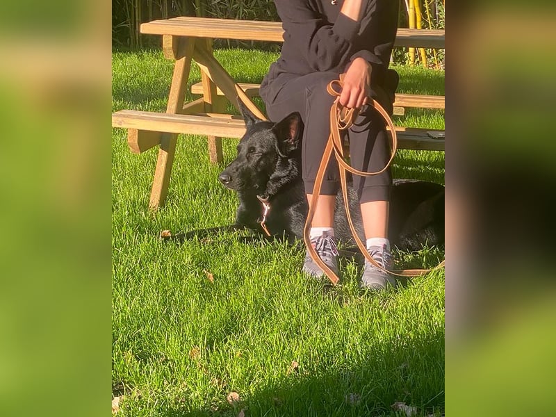 Irie - Vermittlungshilfe - sucht die Nadel im Heuhaufen