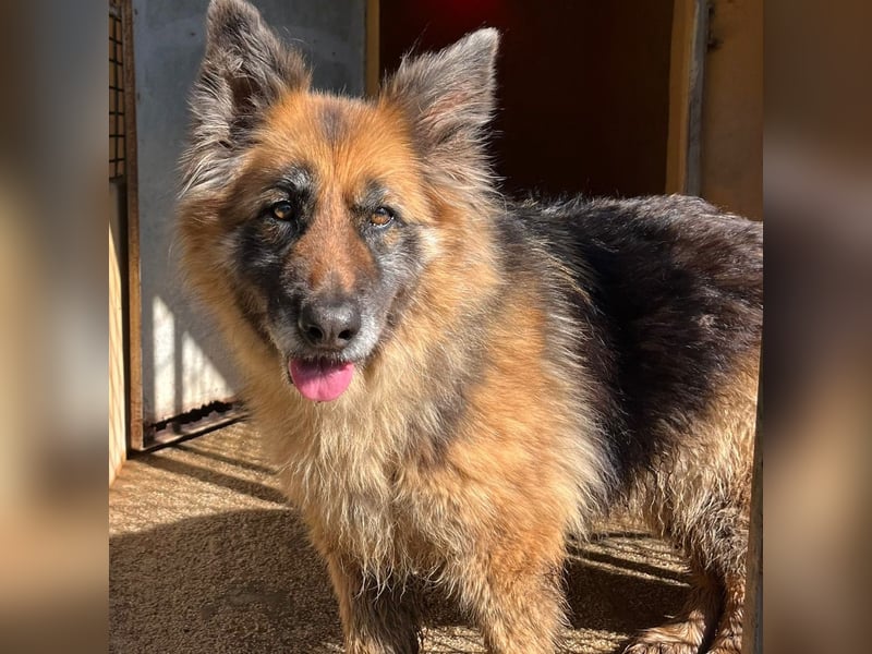 Lucy May - liebevolle Seniorin