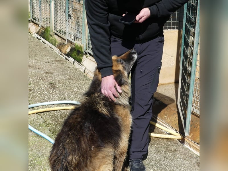 Lucy May - liebevolle Seniorin