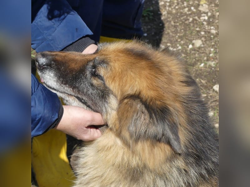Lucy May - liebevolle Seniorin