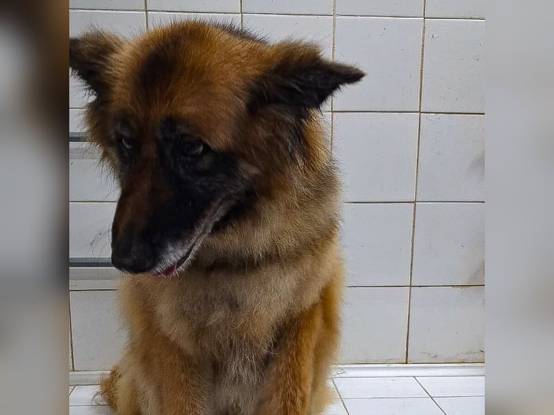 Lucy May - liebevolle Seniorin