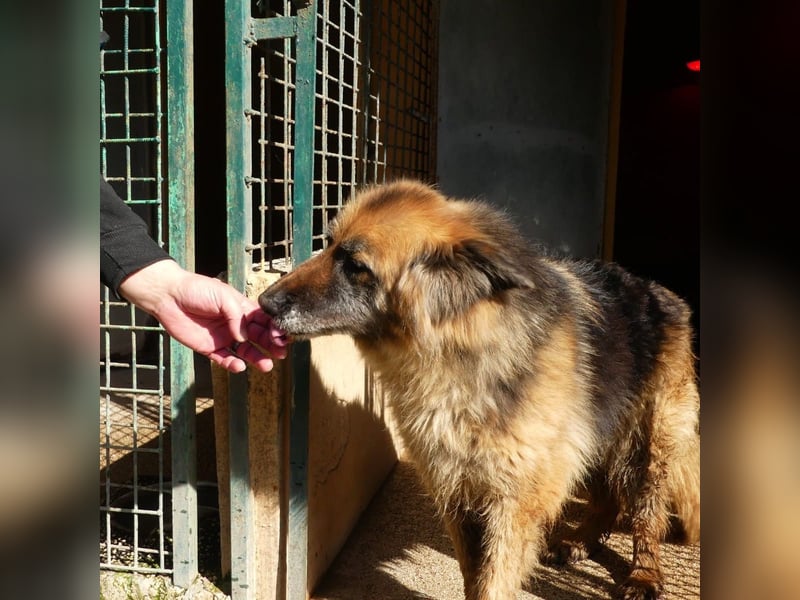 Lucy May - liebevolle Seniorin