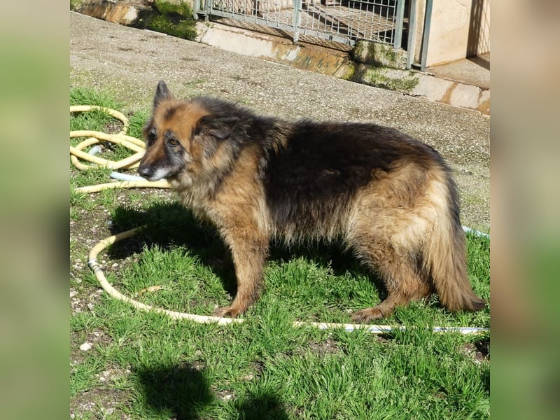 Lucy May - liebevolle Seniorin