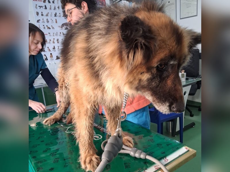 Lucy May - liebevolle Seniorin