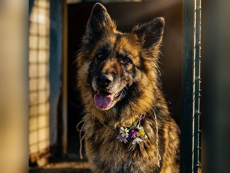 Lucy May - liebevolle Seniorin