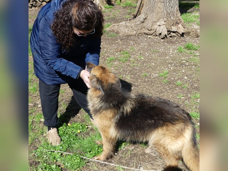Lucy May - liebevolle Seniorin