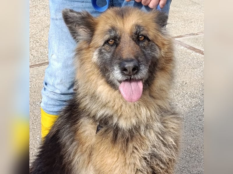 Lucy May - liebevolle Seniorin