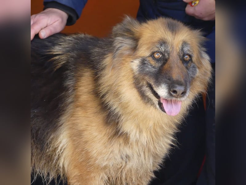 Lucy May - liebevolle Seniorin