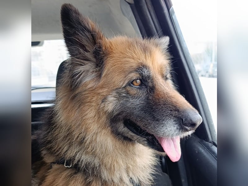 Lucy May - liebevolle Seniorin