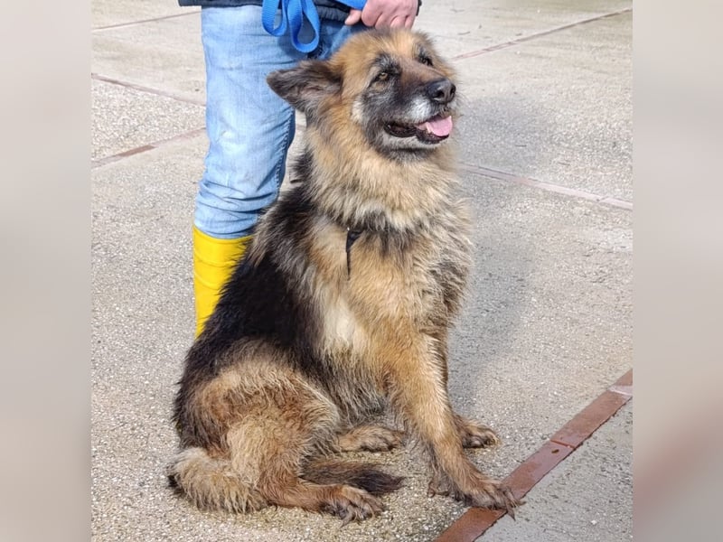 Lucy May - liebevolle Seniorin