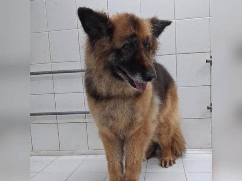 Lucy May - liebevolle Seniorin