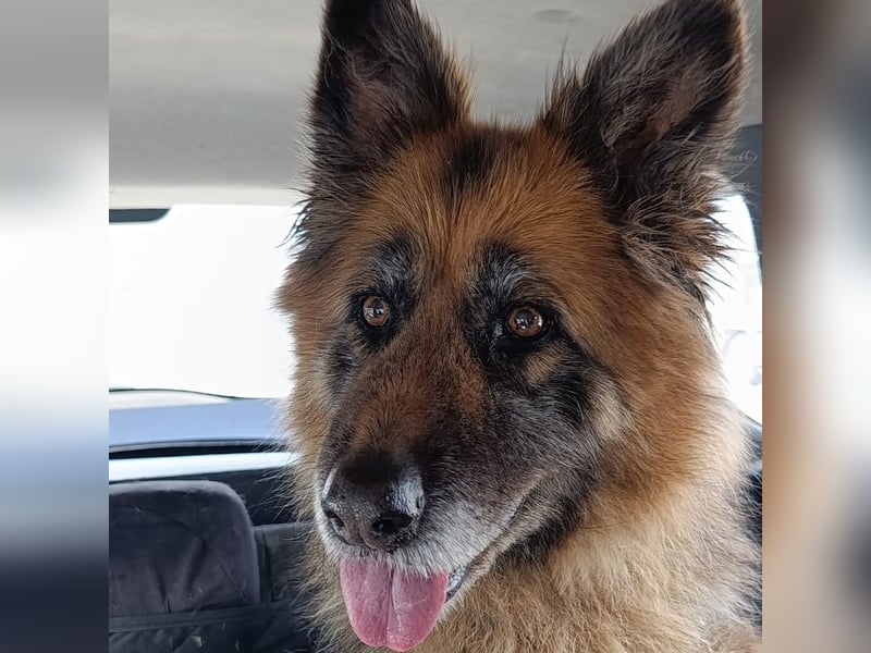 Lucy May - liebevolle Seniorin