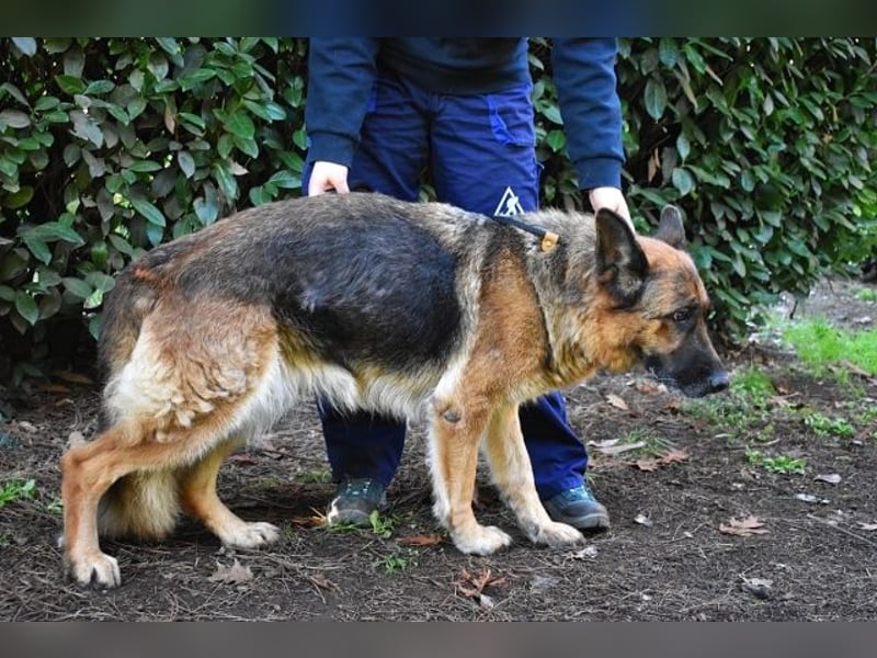 Diantha - Es ist alles still geworden