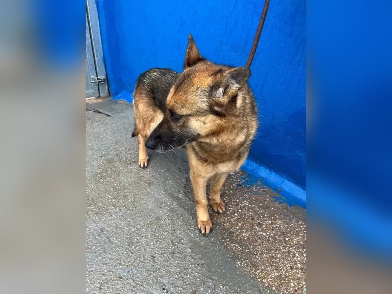 Nora, möchte nicht den Winter in Spanien verbringen