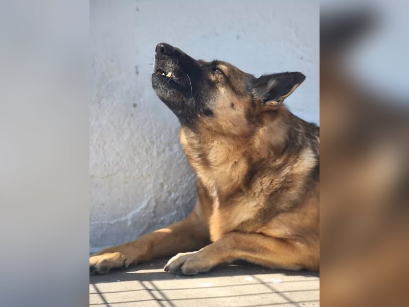 Nora, wartet schon so lange