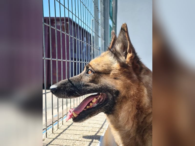 Nora, wartet schon so lange
