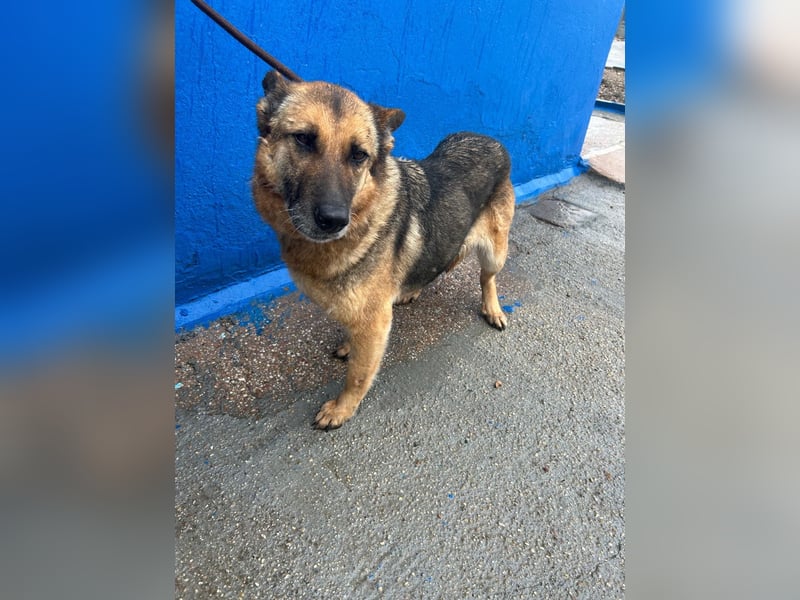 Nora, möchte nicht den Winter in Spanien verbringen