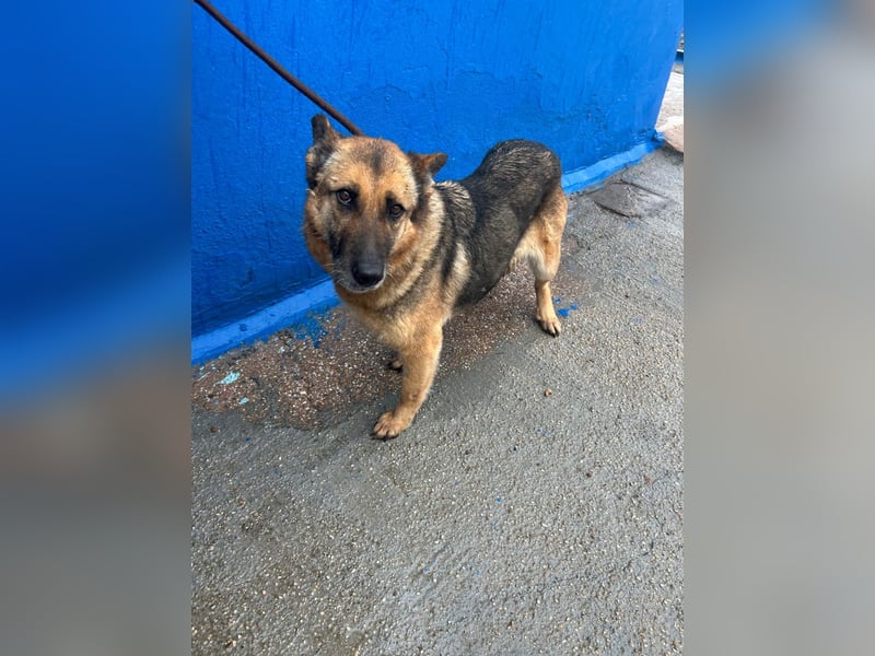 Nora, möchte nicht den Winter in Spanien verbringen