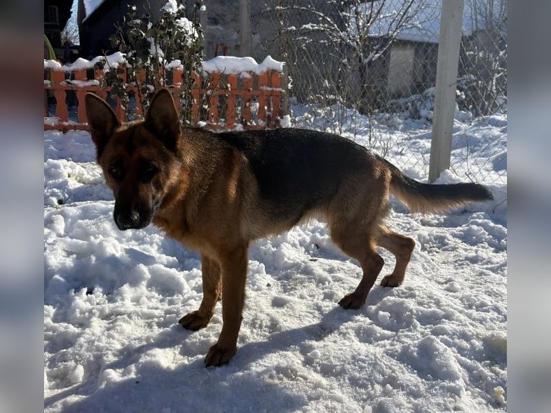 Rea ein wunderschönes Mädel