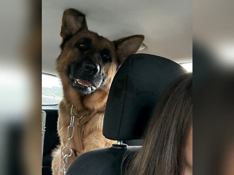 Rea ein wunderschönes Mädel