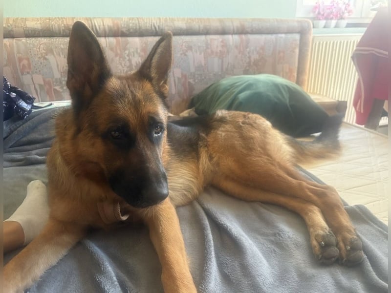 Rea ein wunderschönes Mädel