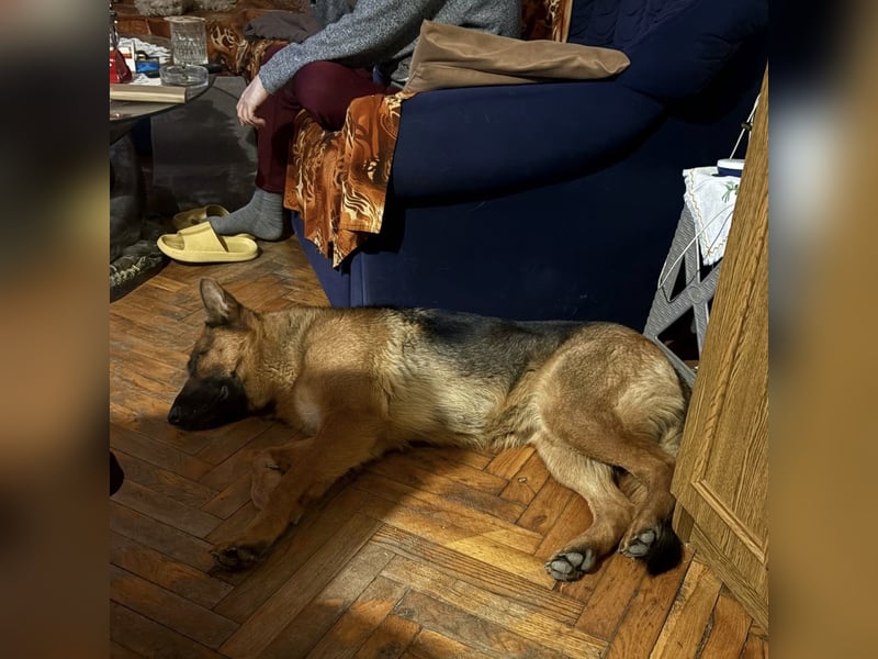 Rea ein wunderschönes Mädel