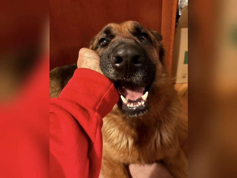 Rea ein wunderschönes Mädel