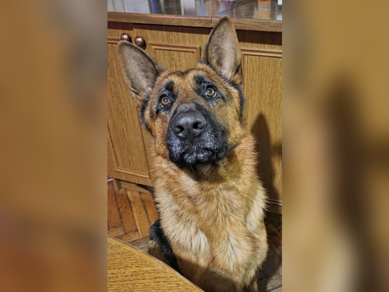 Rea ein wunderschönes Mädel