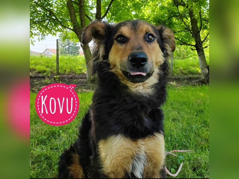 Kovu braucht viel Liebe