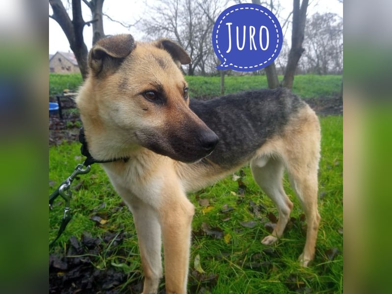 Juro ein absoluter Goldschatz