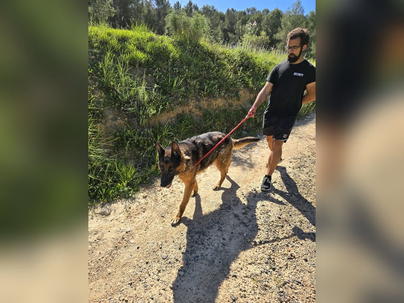 COCO -Rohdiamant sucht seinen Juwelenliebhaber